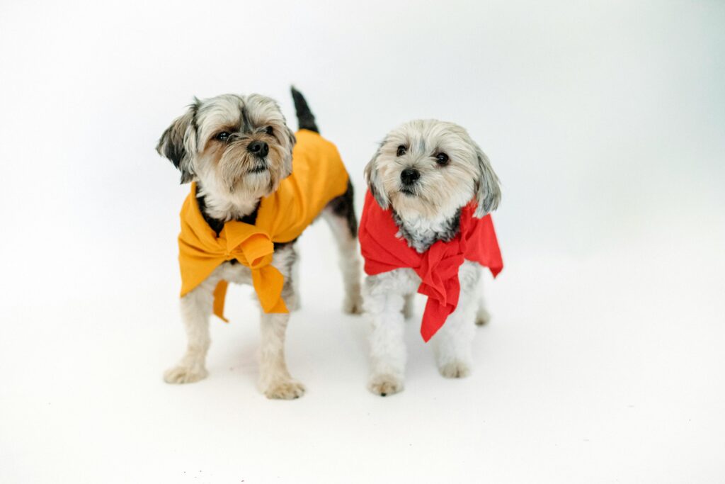 kennels for small dogs in perth​