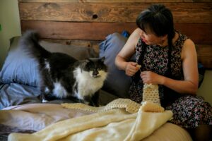 diy for cat owners
