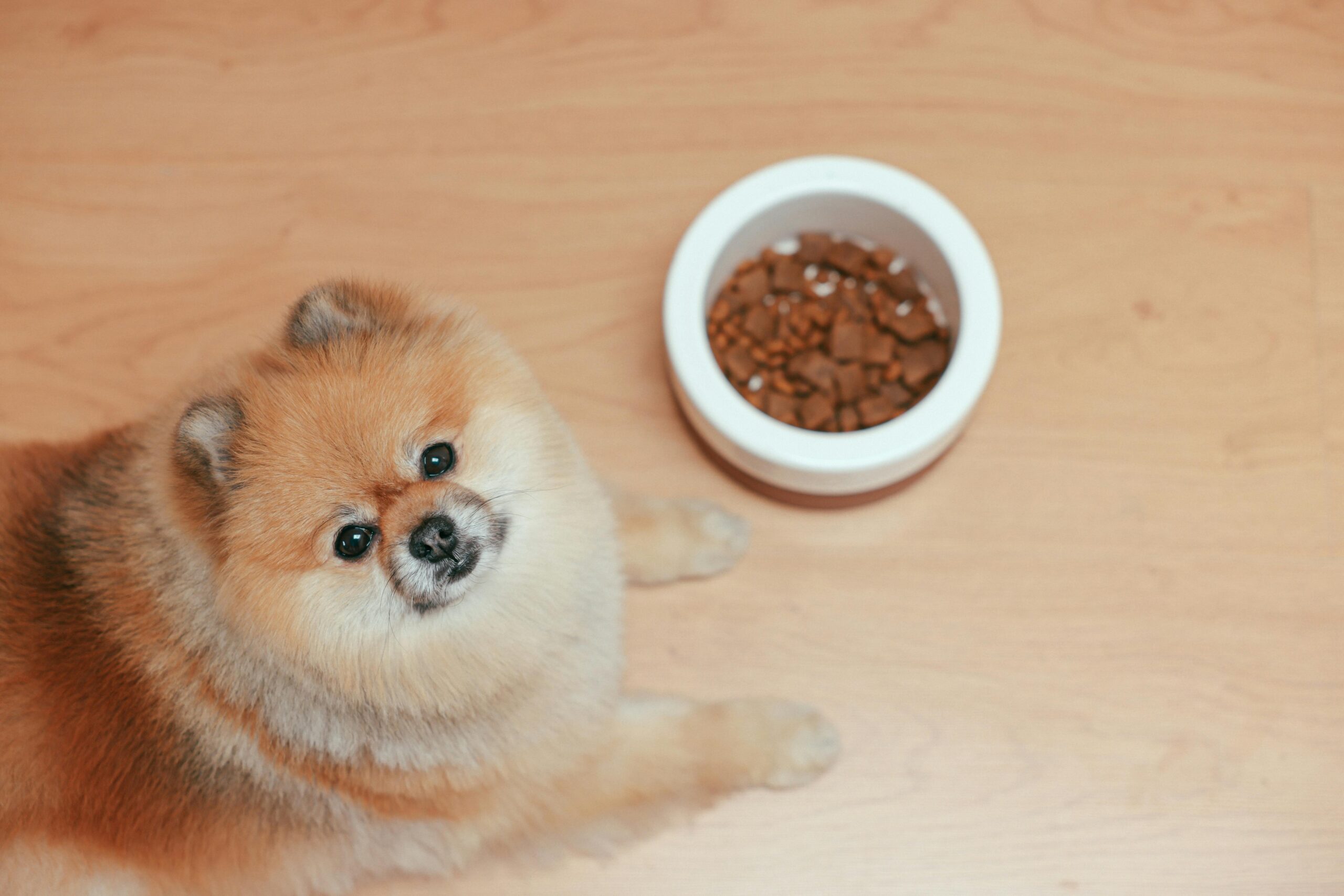 natural supplements for dogs